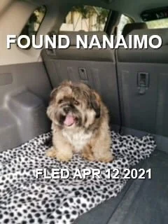 HAPPY ENDINGS - NANAIMO BC - APRIL 12, 2021