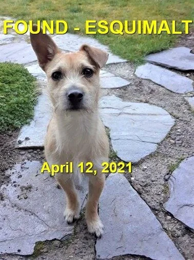 HAPPY ENDINGS - ESQUIMALT BC - APRIL 12, 2021