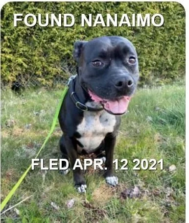 HAPPY ENDINGS - NANAIMO BC - APRIL 12, 2021