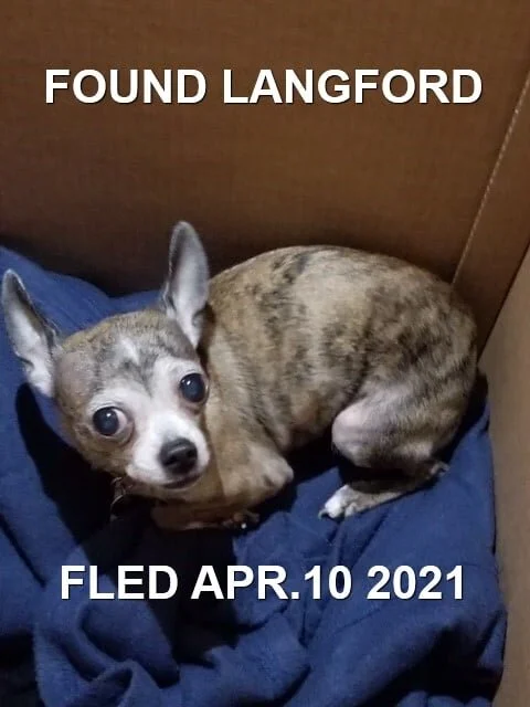 HAPPY ENDINGS - LANGFORD BC - APRIL 10, 2021