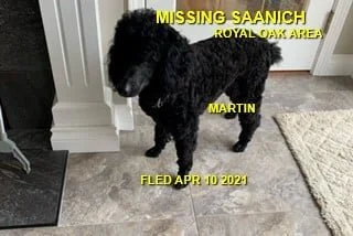 HAPPY ENDINGS - SAANICH BC - MARTIN - 