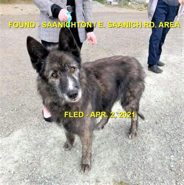 HAPPY ENDINGS - SAANICHTON BC - APRIL 2, 2021