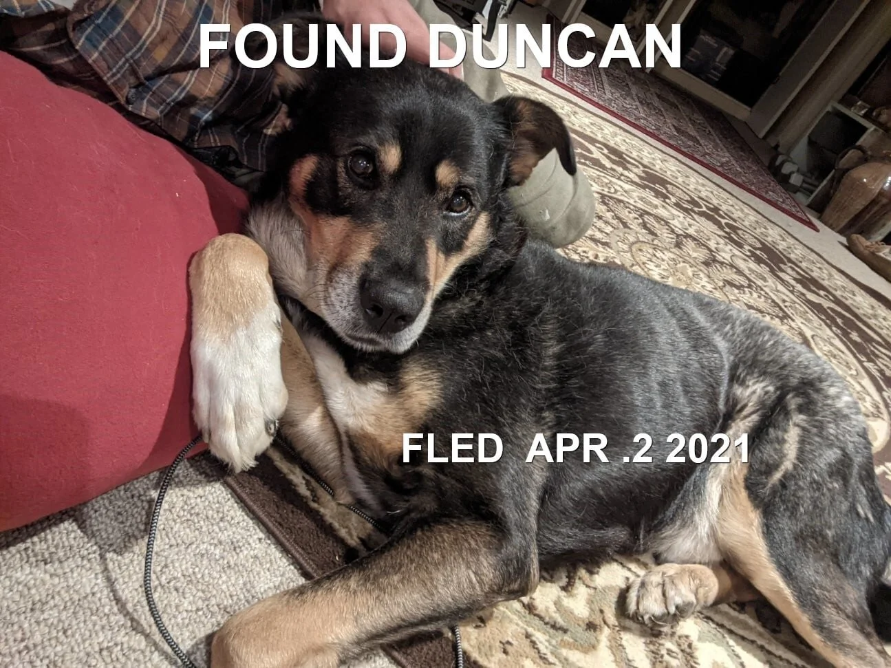 HAPPY ENDINGS - DUNCAN BC - RALPH - APRIL 2, 2021