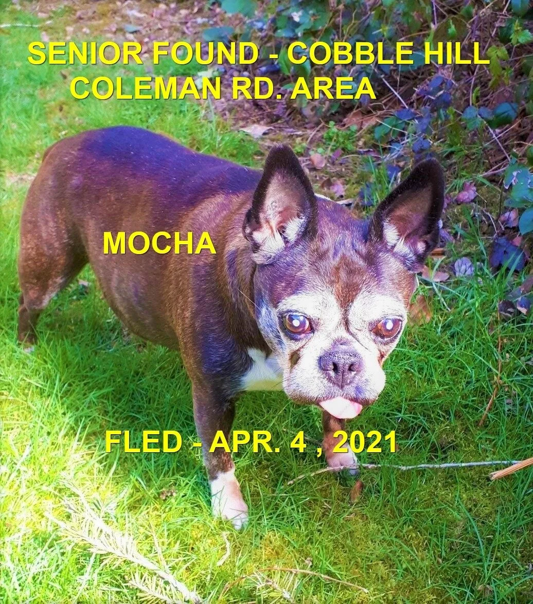 HAPPY ENDINGS - COBBLE HILL BC - MOCHA - APRIL 4, 2021