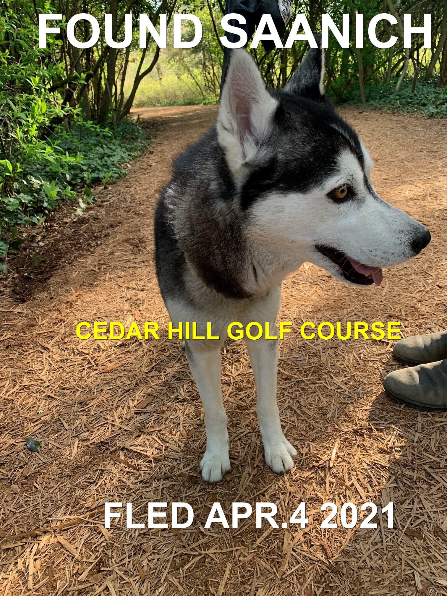 HAPPY ENDINGS - SAANICH BC - APRIL 4, 2021