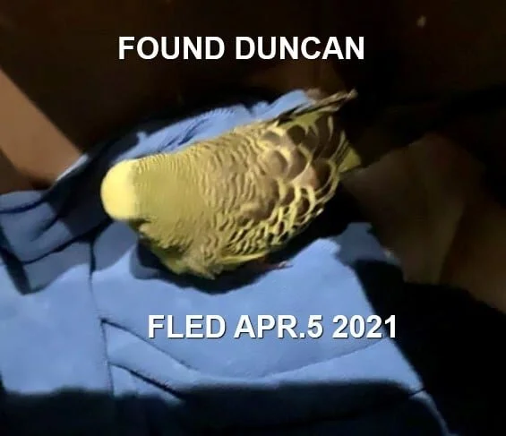 FINDER KEPT BIRD - HAPPY ENDING - DUNCAN BC - APRIL 5, 2021