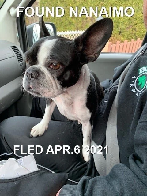 HAPPY ENDINGS - NANAIMO BC - APRIL 4, 2021