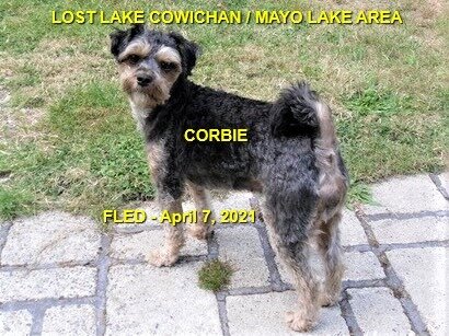 HAPPY ENDINGS - LAKE COWICHAN BC - CORBIE - APRIL 7, 2021