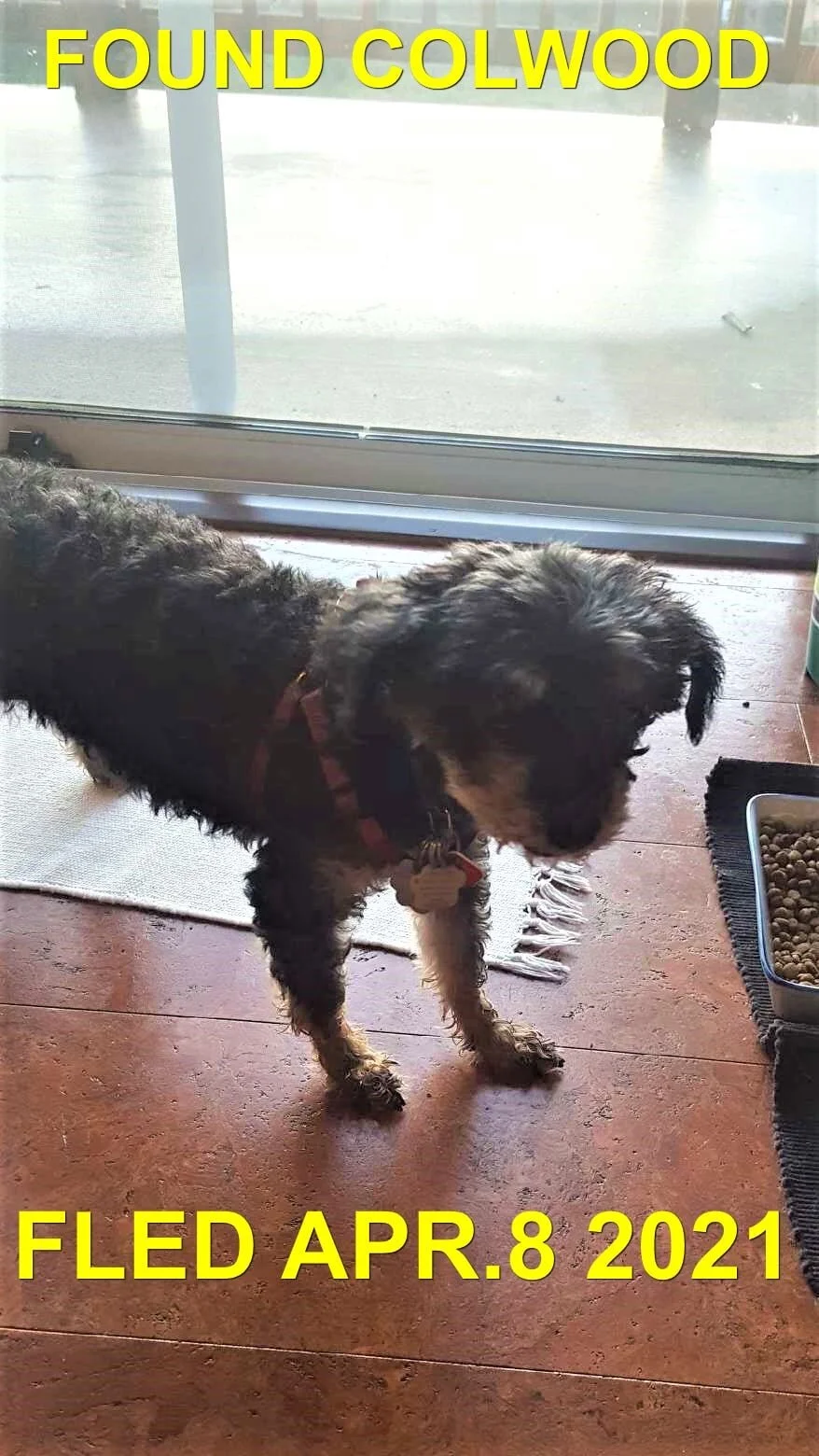 HAPPY ENDINGS - COLWOOD BC - APRIL 8, 2021