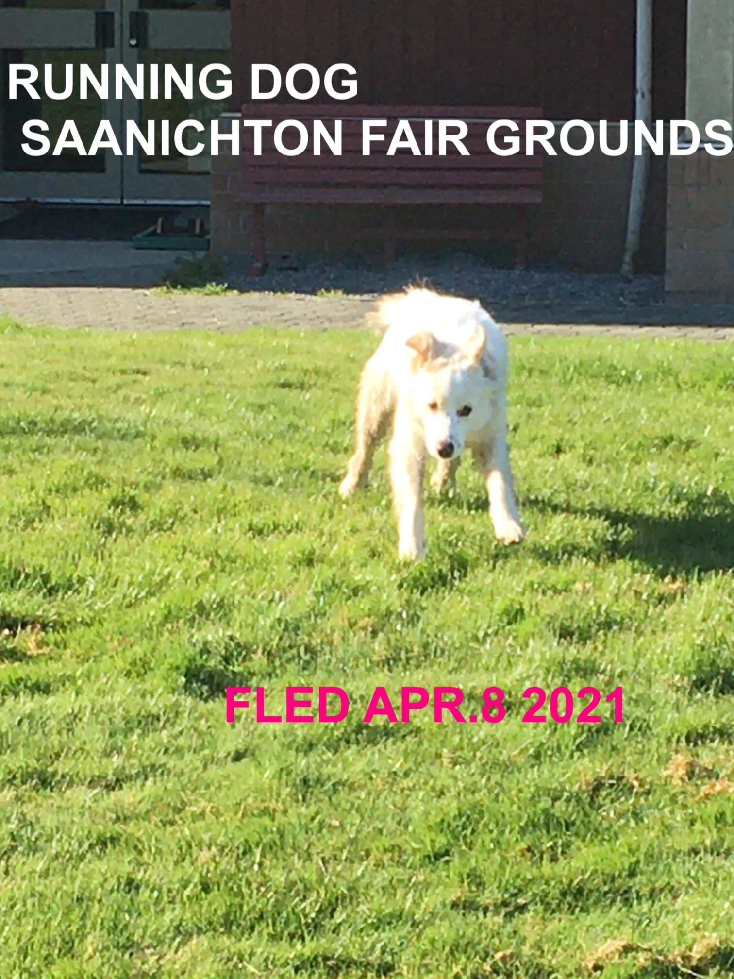 HAPPY ENDINGS - CENTRAL SAANICH BC - APRIL 8, 2021