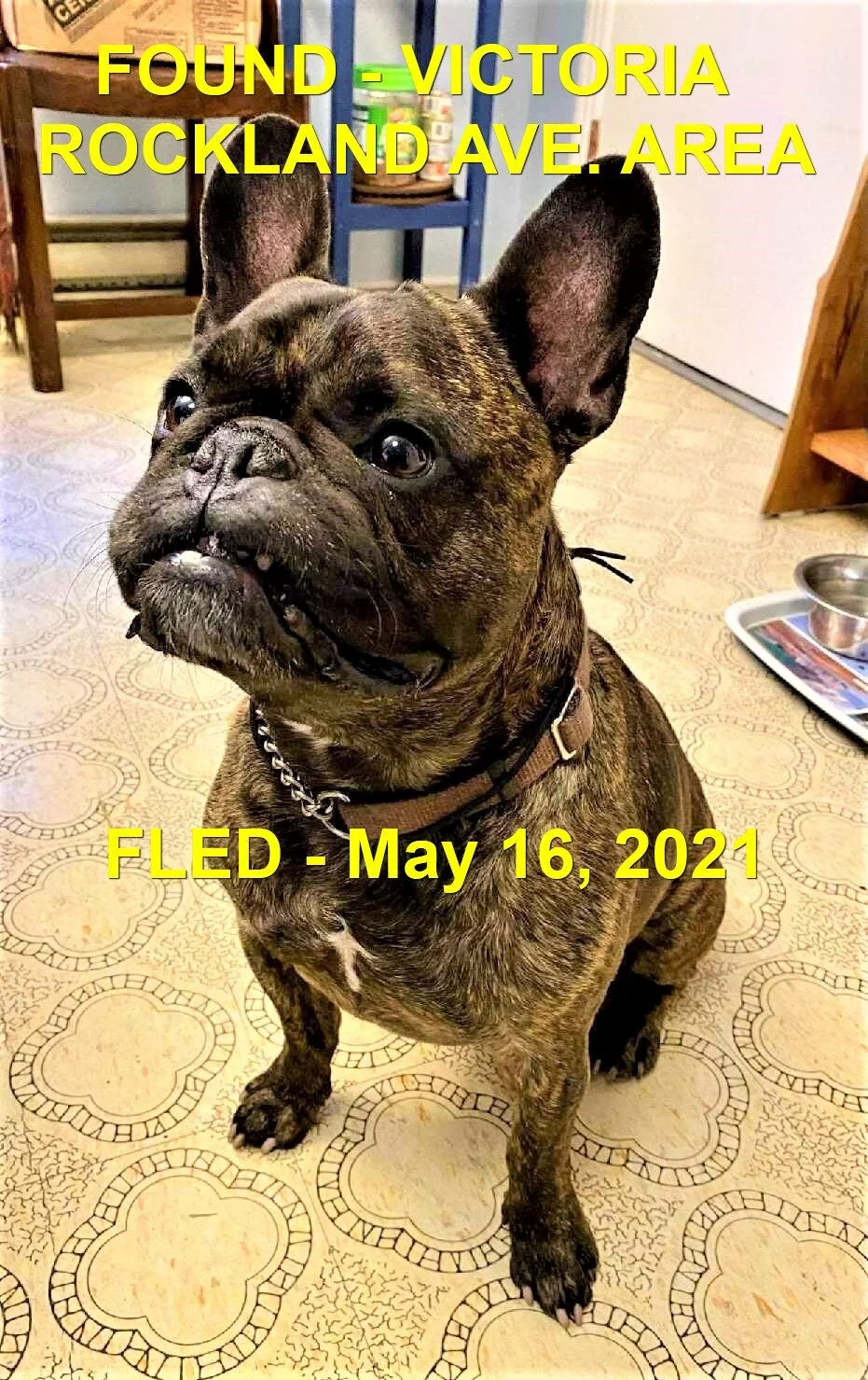 HAPPY ENDINGS - VICTORIA BC - MAY 17, 2021