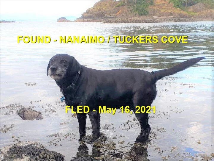 HAPPY ENDINGS - NANAIMO BC - MAY 16, 2021