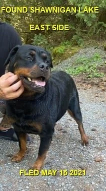 HAPPY ENDINGS - SHAWIGAN LAKE BC - MAY 16, 2021