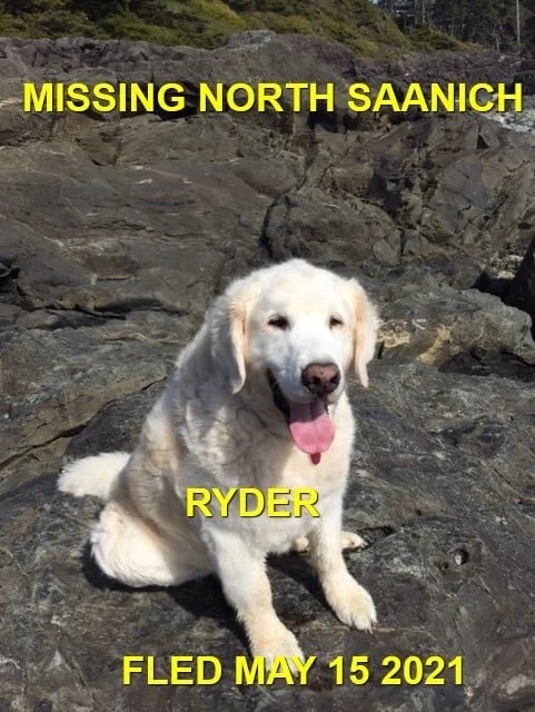 HAPPY ENDINGS - NORTH SAANICH BC - RYDER - MAY 15, 2021