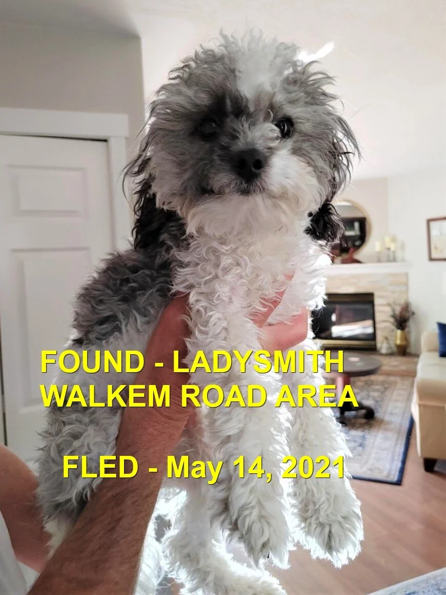 HAPPY ENDINGS - LADYSMITH BC - MAY 14, 2021