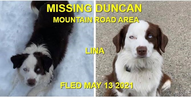 HAPPY ENDINGS - DUNCAN BC. - LINA - MAY 13, 2021