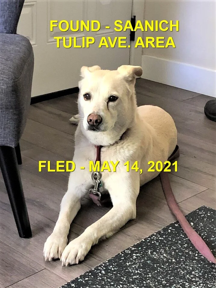 HAPPY ENDINGS - SAANICH BC. - MAY 14, 2021