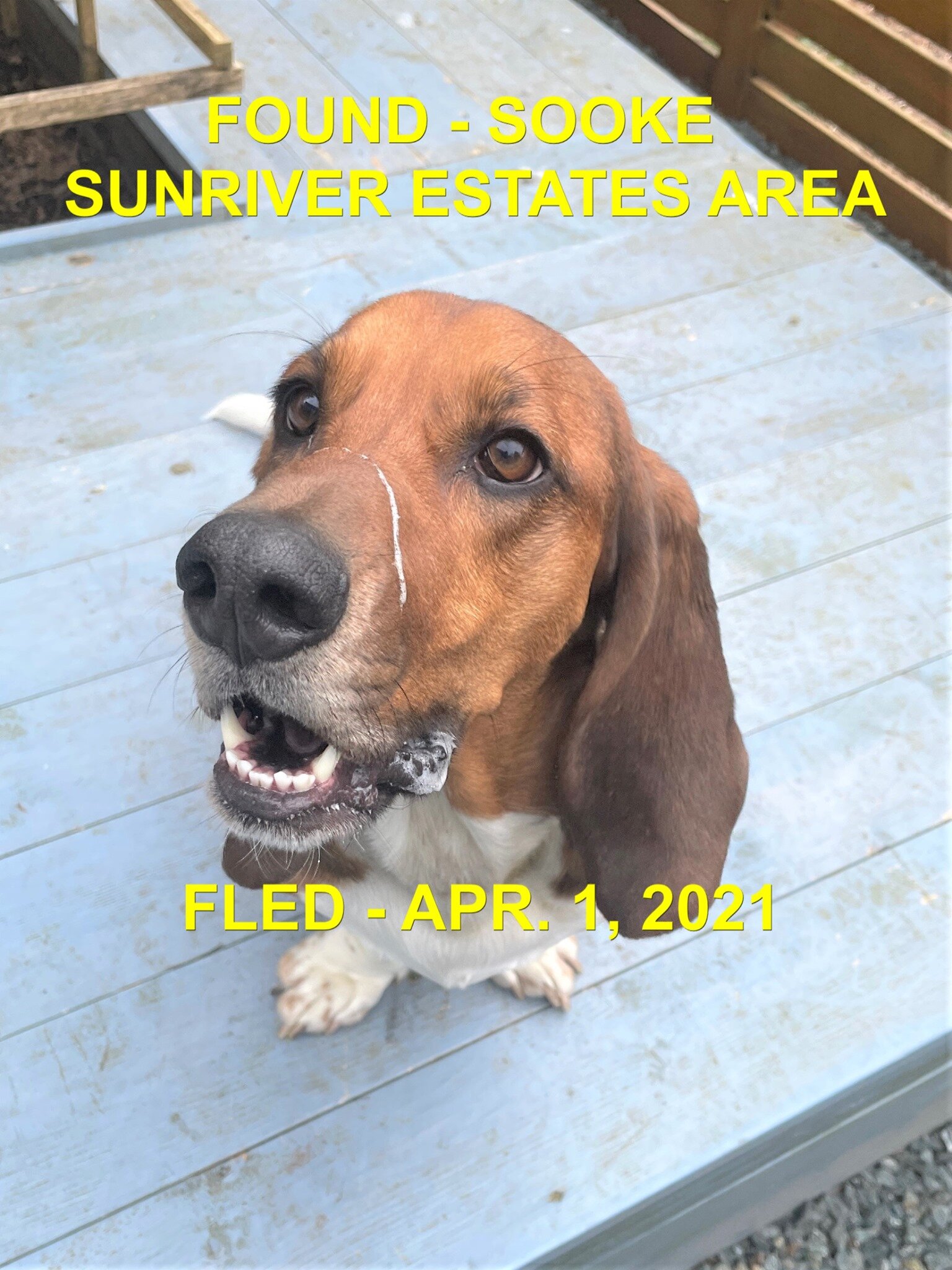 HAPPY ENDINGS - SOOKE BC. -  APRIL 2, 2021