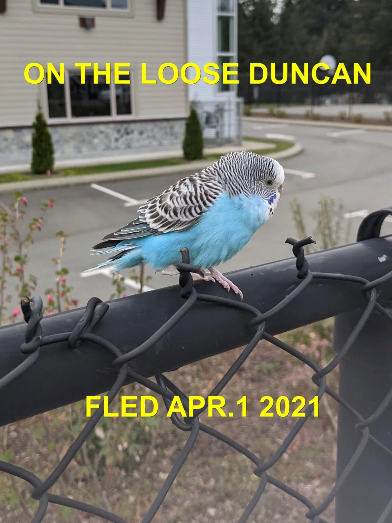 HAPPY ENDINGS - DUNCAN BC. - APRIL 1, 2021