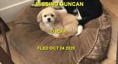 HAPPY ENDINGS - DUNCAN BC. - OSCAR - OCTOBER 23, 2020