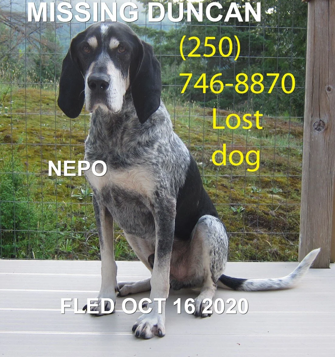 HAPPY ENDINGS - DUNCAN BC. - NEPO - OCTOBER 15, 2020