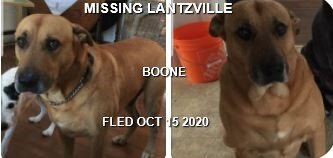 HAPPY ENDINGS - LANTZVILLE BC - BOONE - OCTOBER 15, 2020