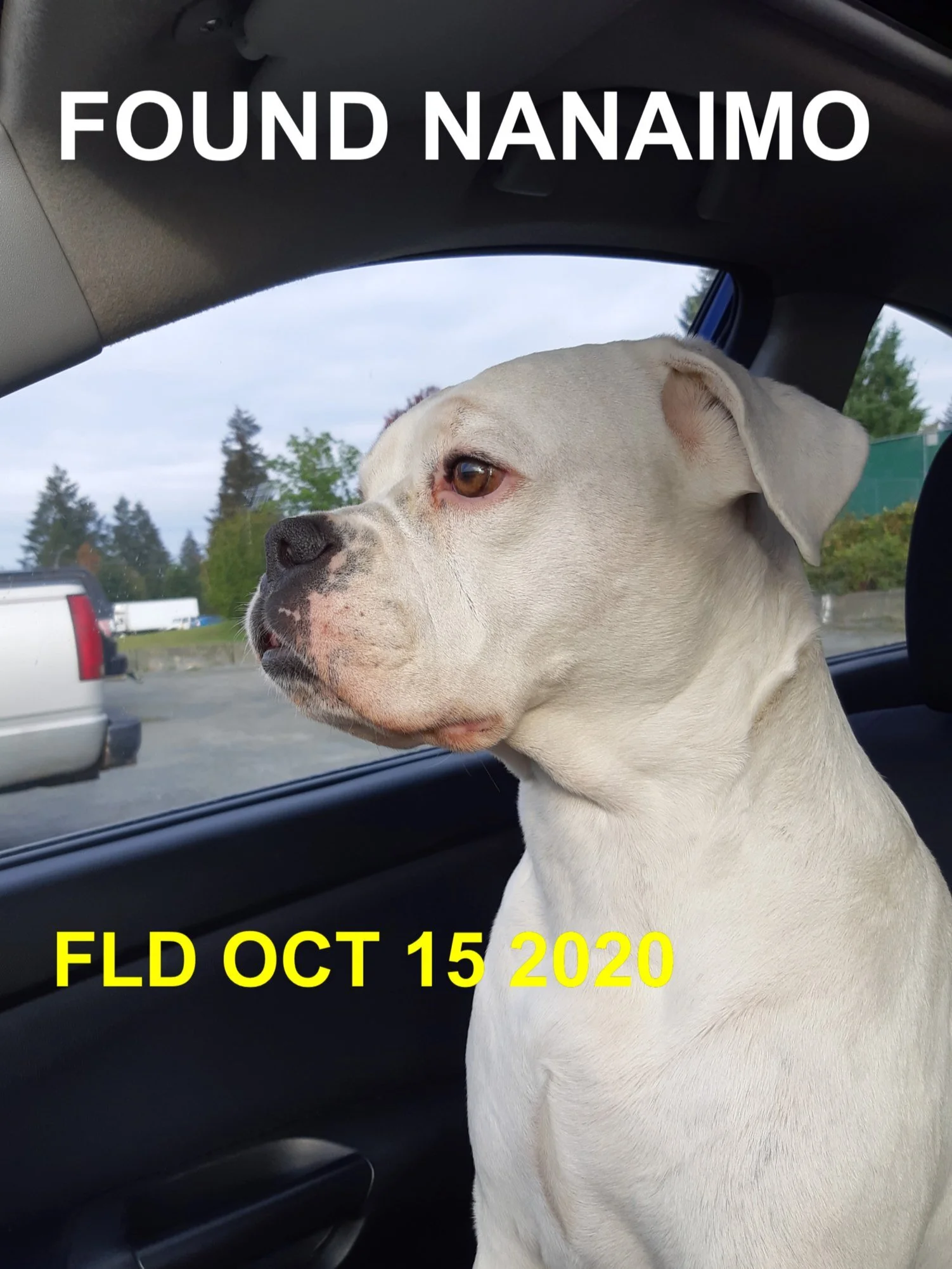 GONE TO SHELTER - NANAIMO BC - OCTOBER 15, 2020