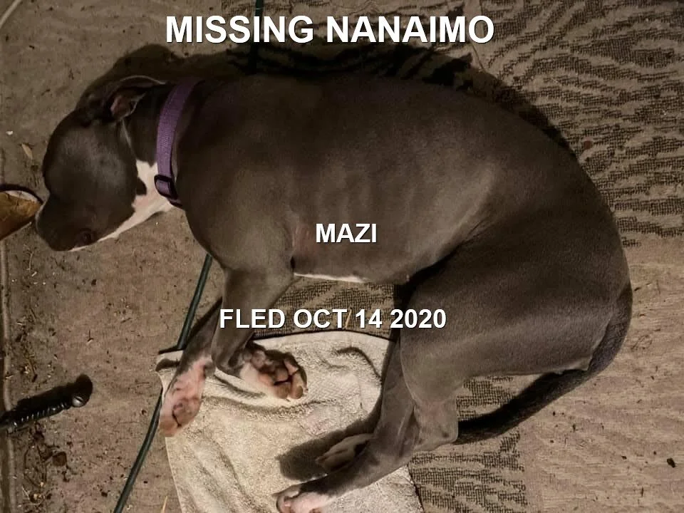 HAPPY ENDINGS - NANAIMO BC. - MAZI - OCTOBER 14, 2020
