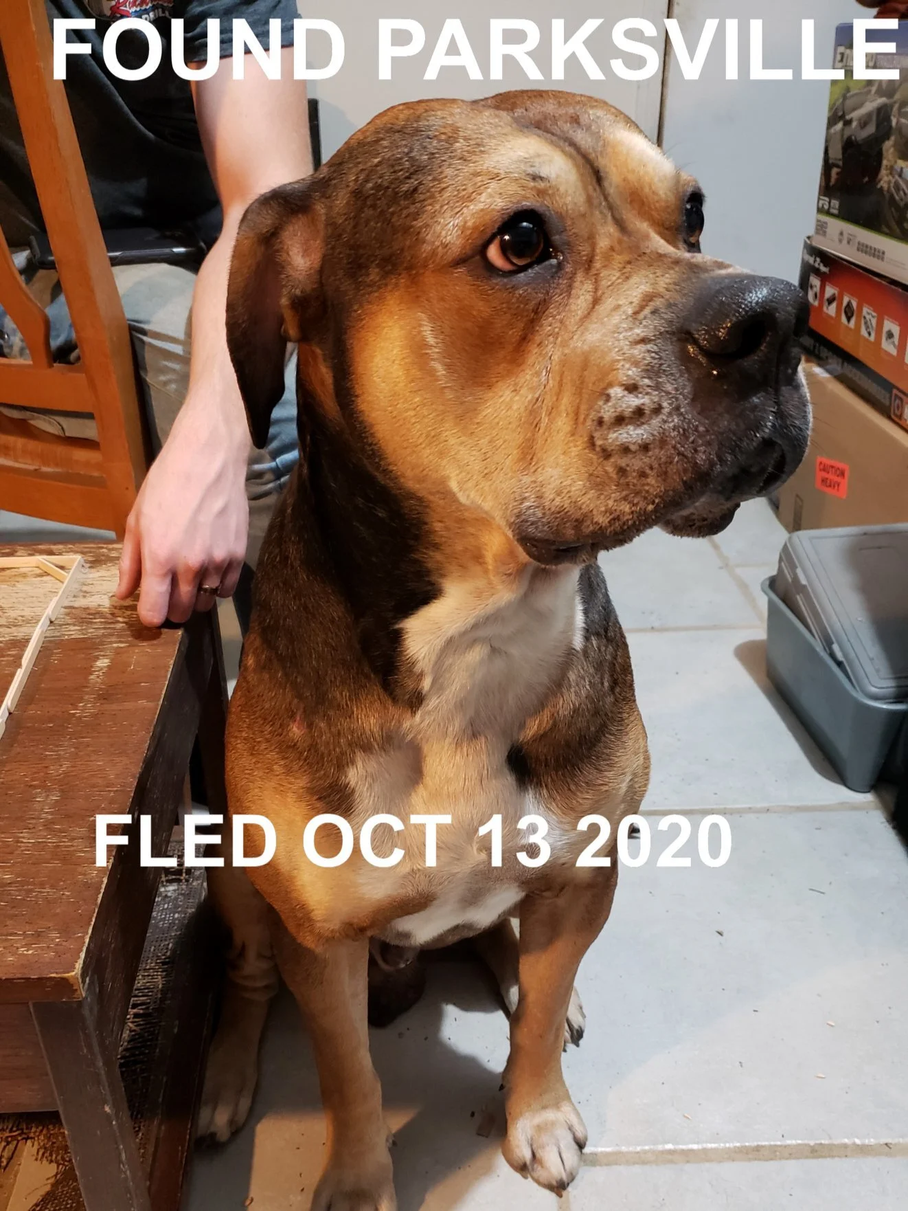 HAPPY ENDINGS - PARKSVILLE BC. - OCTOBER 13, 2020