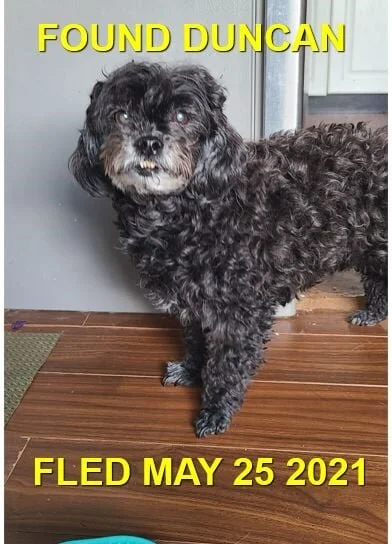 HAPPY ENDINGS - DUNCAN BC. - SUSIE - MAY 25, 2021