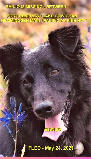 HAPPY ENDINGS - PORT RENFREW BC. - BANJO - MAY 24, 2021