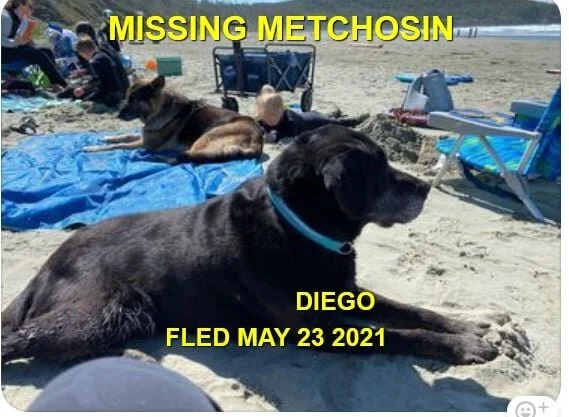 HAPPY ENDINGS - METCHOSIN BC - DIEGO - MAY 23, 2021