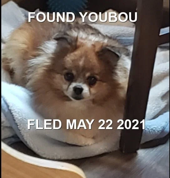 HAPPY ENDINGS - YOUBOU BC - CHIA - MAY 22, 2021