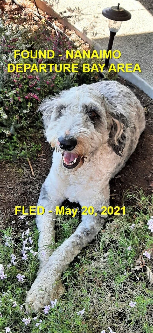 HAPPY ENDINGS - NANAIMO BC - MAY 20, 2021