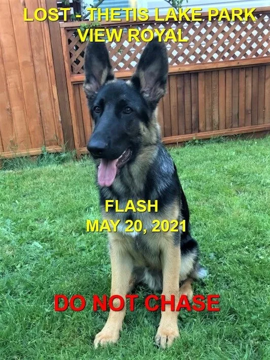 HAPPY ENDINGS - VIEW ROYAL BC - FLASH - MAY 20,2021