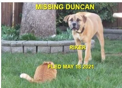 WENT HOM ON THEIR OWN - DUNCAN BC - RYKER - MAY 18, 2021