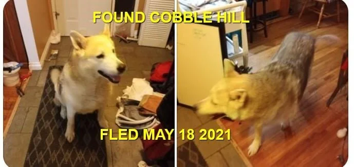 HAPPY ENDINGS - COBBLE HILL BC - MAY 18, 2021