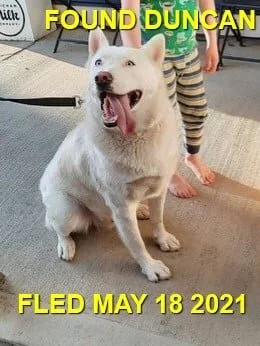 HAPPY ENDINGS - DUNCAN BC - MAY 18, 2021