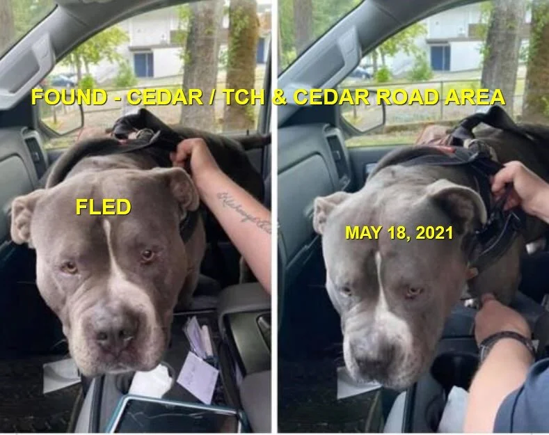 HAPPY ENDINGS - CEDAR BC - APOLLO - MAY 18, 2021