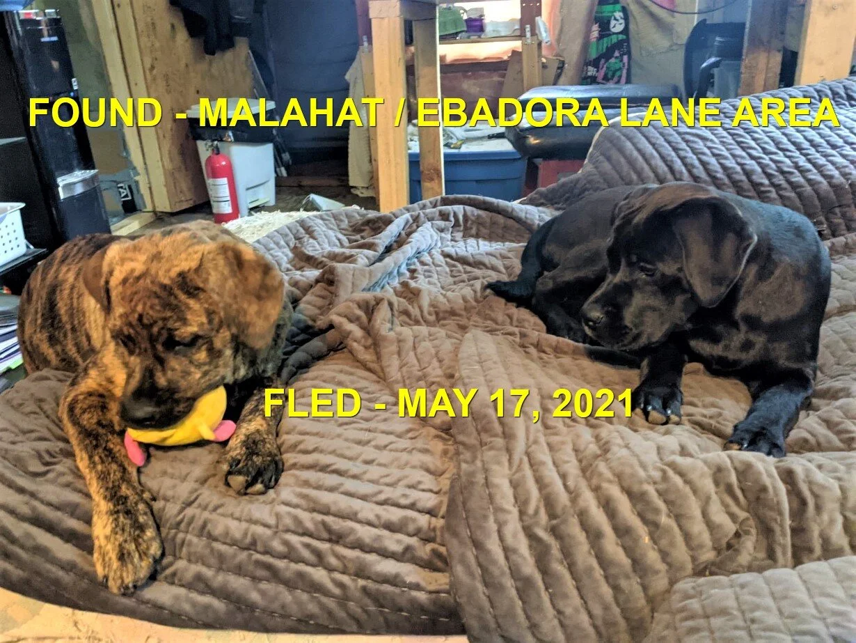 HAPPY ENDINGS - MALAHAT BC - MAY 17, 2021