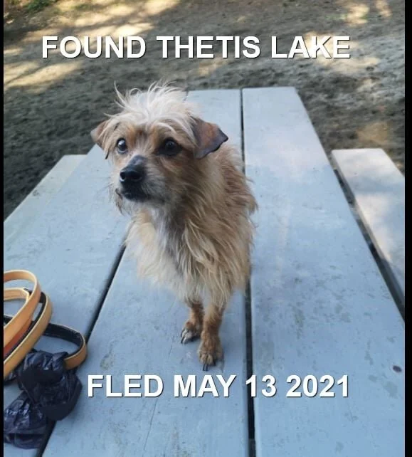 HAPPY ENDINGS -VIEW ROYAL BC - MAY 13, 2021