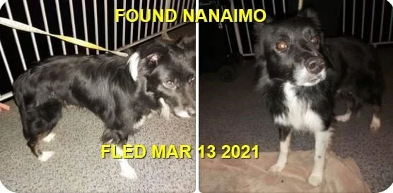 UNRESOLVED - NANAIMO BC. MAR 13, 2021