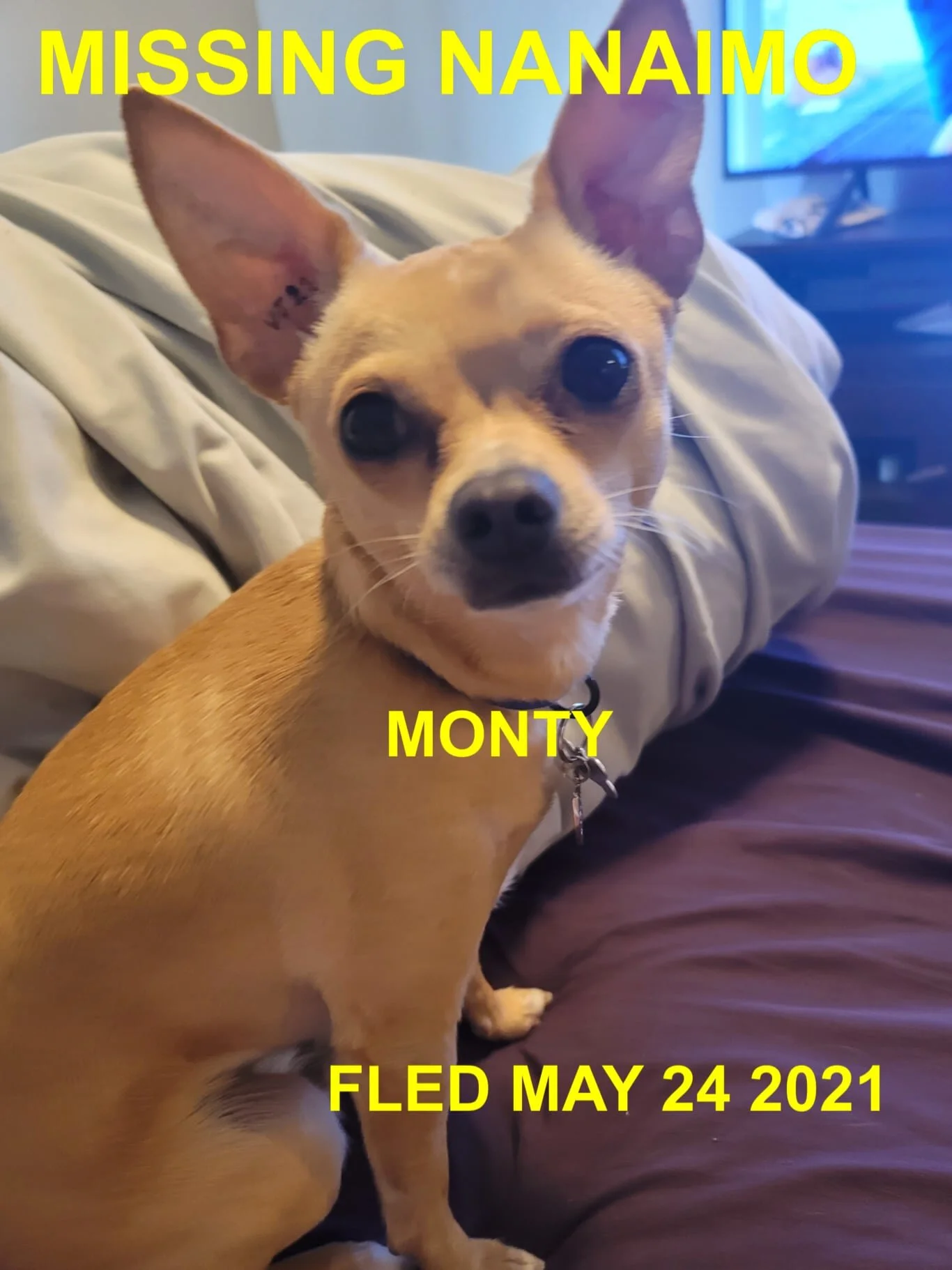 HAPPY ENDINGS - NANAIMO BC - MONTY - MAY 24, 2021 