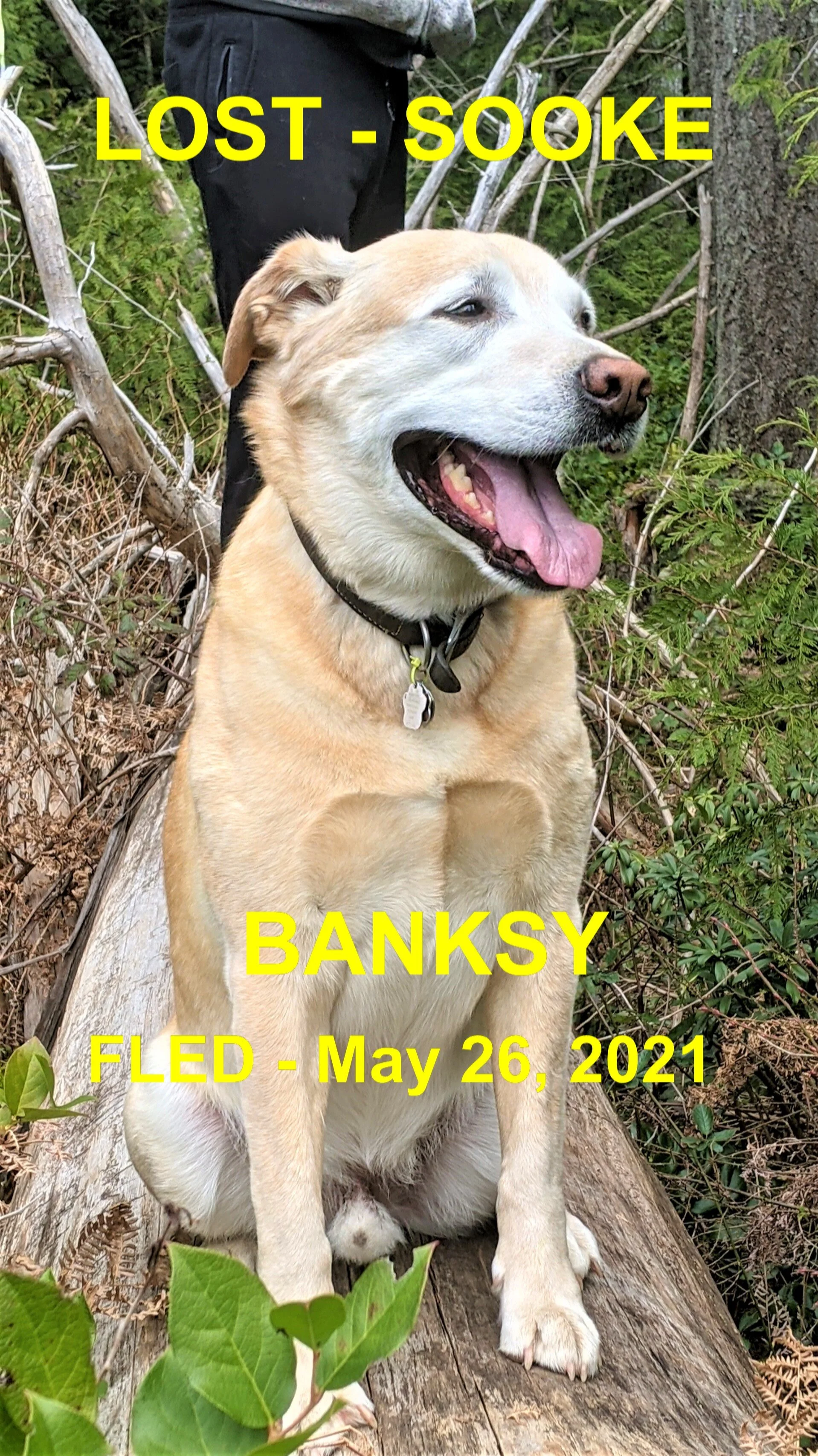 HAPPY ENDINGS - SOOKE BC - BANKSY - MAY 26, 2021