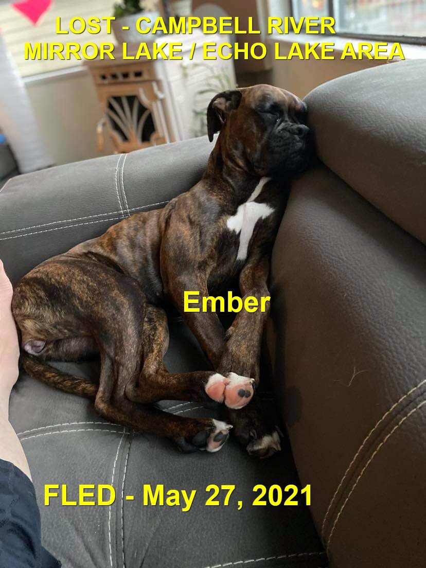 HAPPY ENDINGS - CAMPBELL RIVER BC - EMBER - MAY 25, 2021