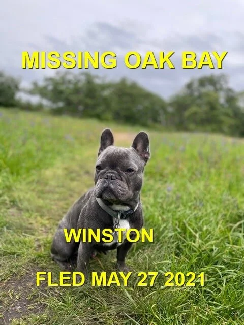 HAPPY ENDINGS - VICTORIA / OAK BAY BC - WINSTON - MAY 27, 2021