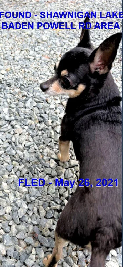 HAPPY ENDINGS - SHAWNIGAN LAKE BC - MAY 26, 2021