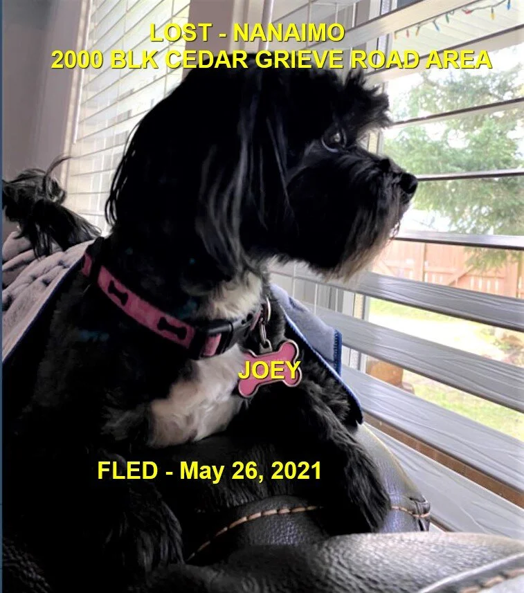 HAPPY ENDINGS / STOLEN - NANAIMO BC - JOEY - MAY 26, 2021