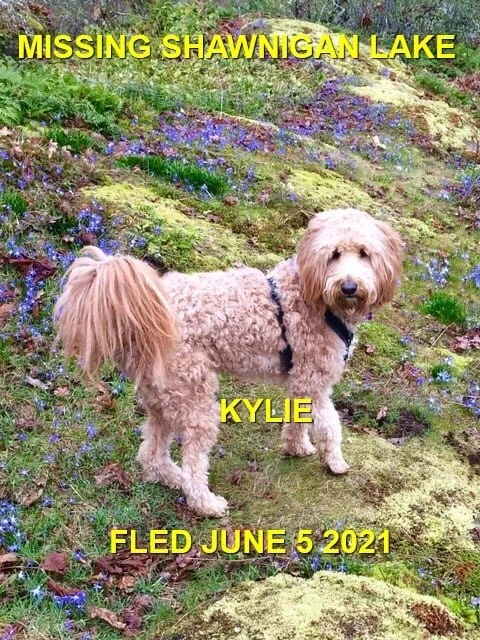 HAPPY ENDINGS - SHAWNIGAN LAKE BC - KYLIE - JUNE 5, 2021