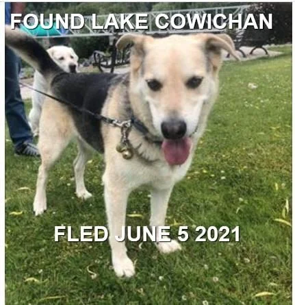 HAPPY ENDINGS - LAKE COWICHAN BC - JUNE 5, 2021